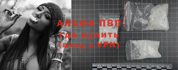 ПСИЛОЦИБИНОВЫЕ ГРИБЫ Сосновка