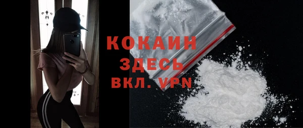 индика Балахна