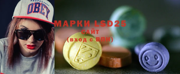 индика Балахна