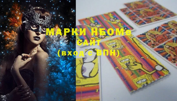 индика Балахна