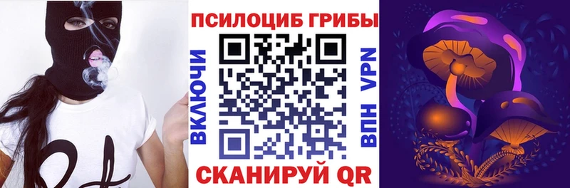 блэк спрут зеркало  Кувандык  Галлюциногенные грибы Psilocybine cubensis  где можно купить  